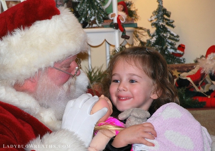 santa-ava